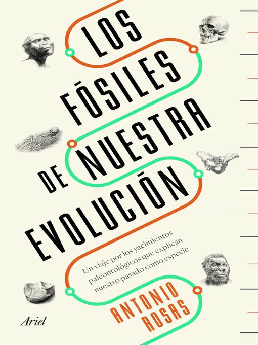 Title details for Los fósiles de nuestra evolución by Antonio Rosas - Available